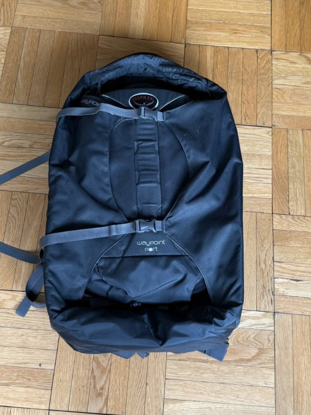 Osprey Waypoint Travel Backpack (80L)
